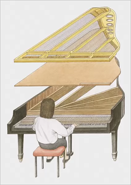 Cross section illustration of woman playing grand piano showing how sound is produced