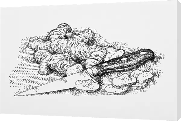 Black and white illustration of of fresh ginger and kitchen knife