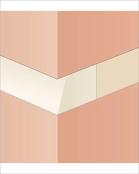 Digital illustration of weatherstruck masonry causing pointing to deteriorate