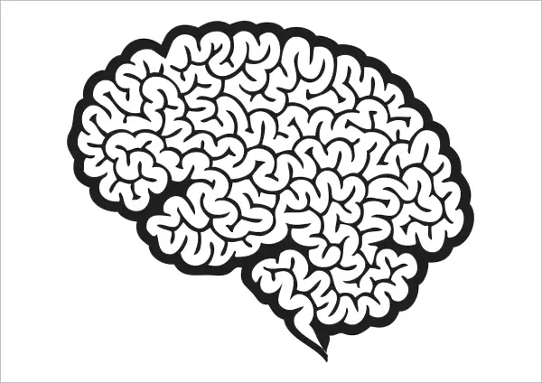 Digital cartoon of human brain showing cerebrum