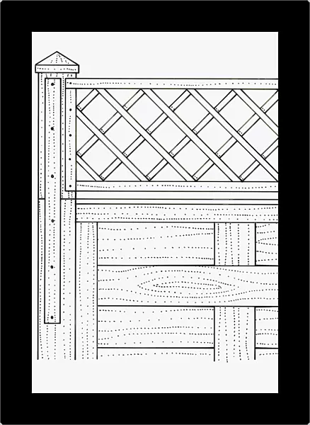 Black and white illustration of batten and trellis nailed to garden fence