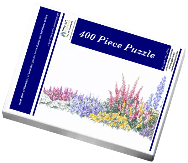 Illustration of flowerbed of colourful ground cover shrubs and tall flower spikes