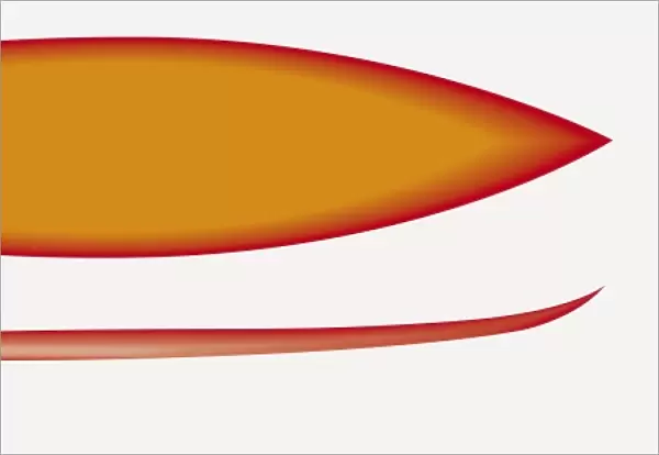 Digitally generated illustration of surfboard in sequence of shapes and fins
