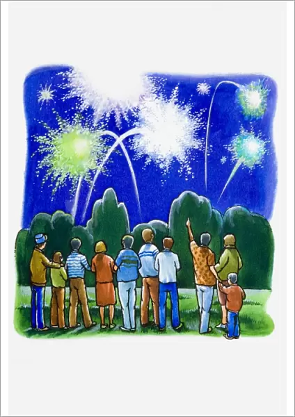 Group of people watching fireworks display in a park