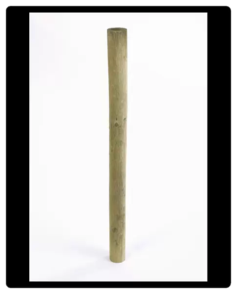 Round wooden fencing post