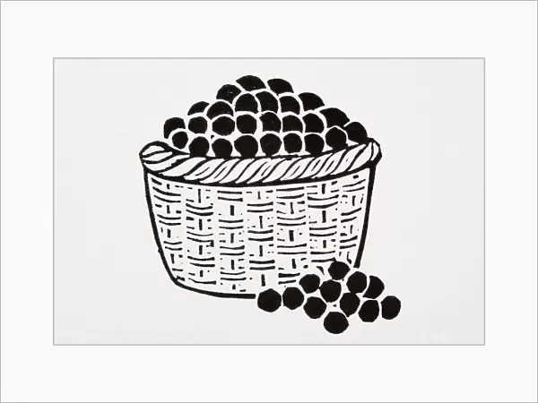 Black and white illustration of basket of cherries