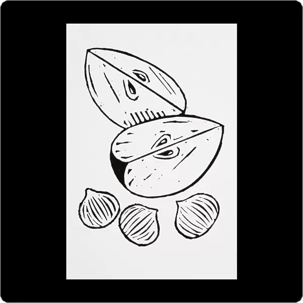 Black and white illustration of apple slices and nuts