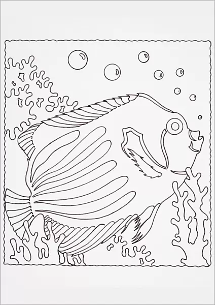 Simple line drawing of underwater tropical fish