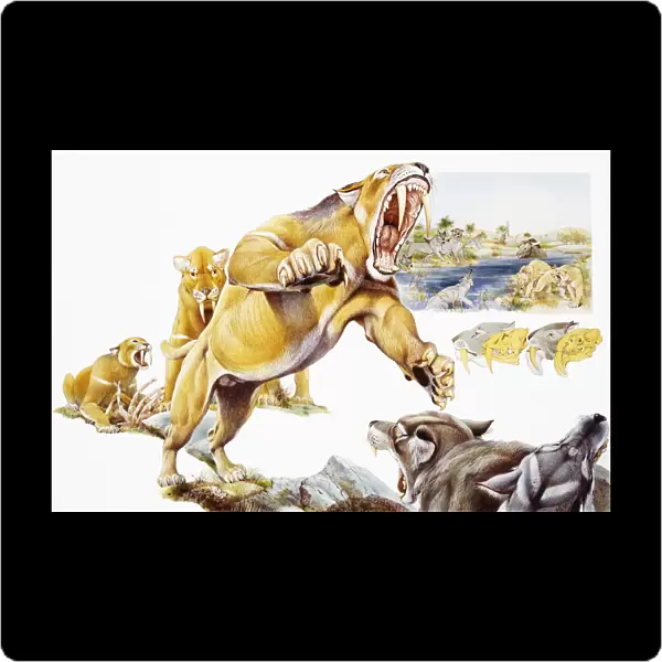 Saber-toothed cat attacking wolves