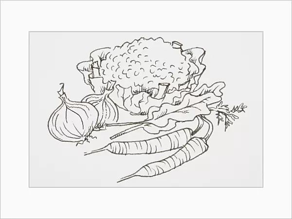 Line drawing of vegetables including, cauliflower, onions and carrots