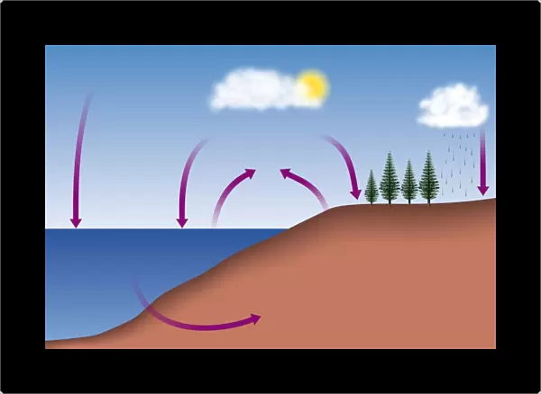 Diagram showing the carbon cycle, digital illustration