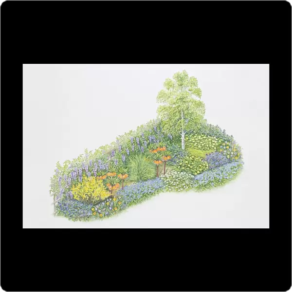Illustration, tree, shrub and blooming flowerbeds in garden corner, including orange, yellow, blue and purple flowers, elevated view