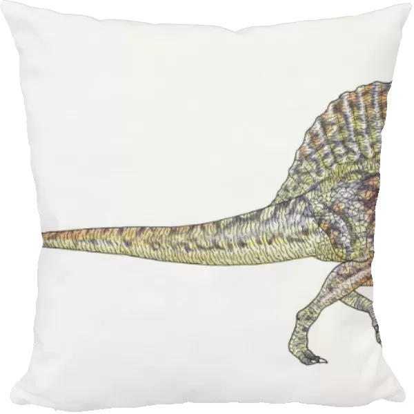 Spinosaurus, side view