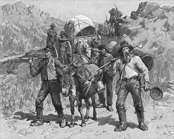 Miners During The California Gold Rush