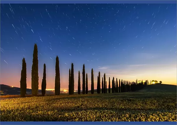 Night in Tuscan fields
