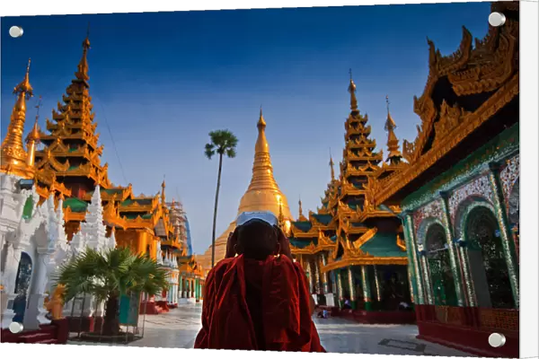 A novice and Shwedagon Pagoda