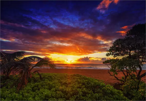 Kauai Beach Sunrise Kauai Hawaii