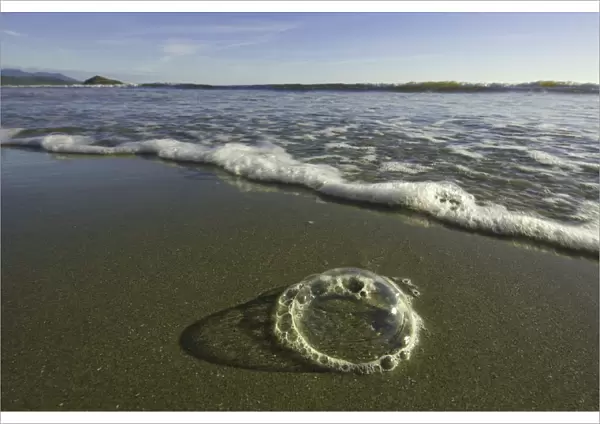 Foam bubbles on sandy beach, BC, Canada