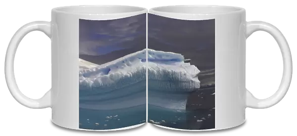icebergs Antarctic Peninsula