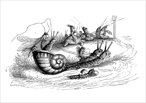 Humanized animals illustrations: Riding snails
