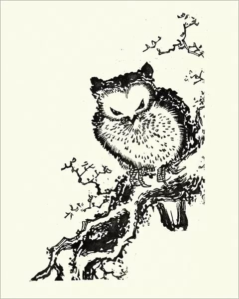 Japanesse Art, Owl perched on a branch, 19th Century