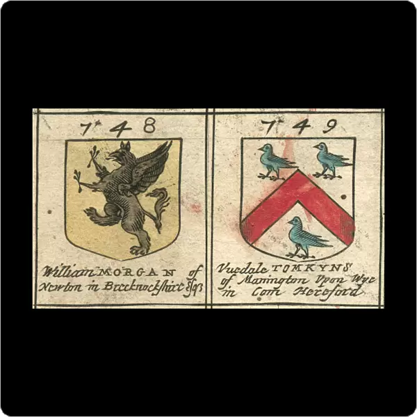 Coat of arms 17th century Morgan and Tomkins