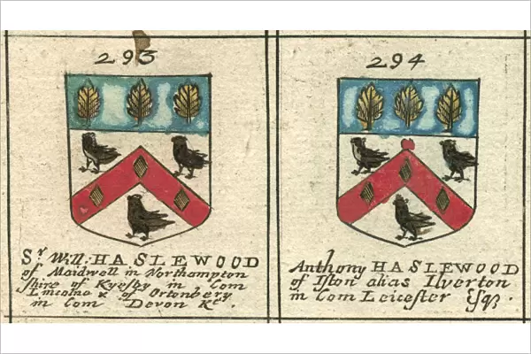 Coat of arms copperplate 17th century Haslewood