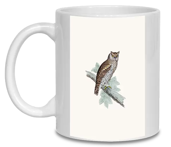 Scope-eared owl
