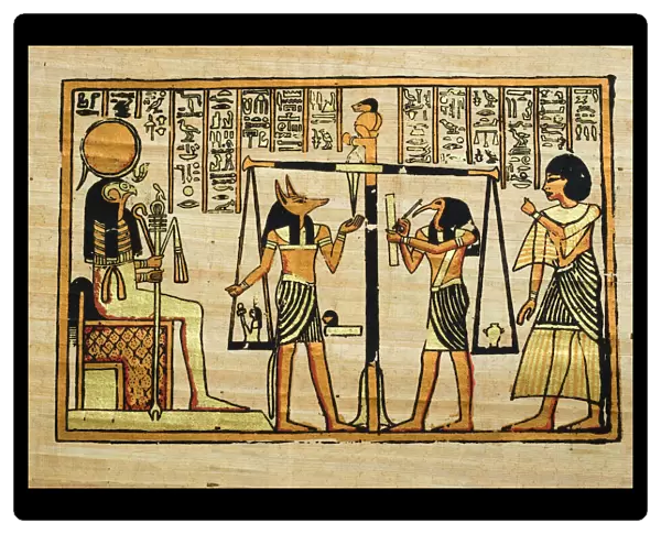 Papyrus. Egyptian PapayrusMore of my photos