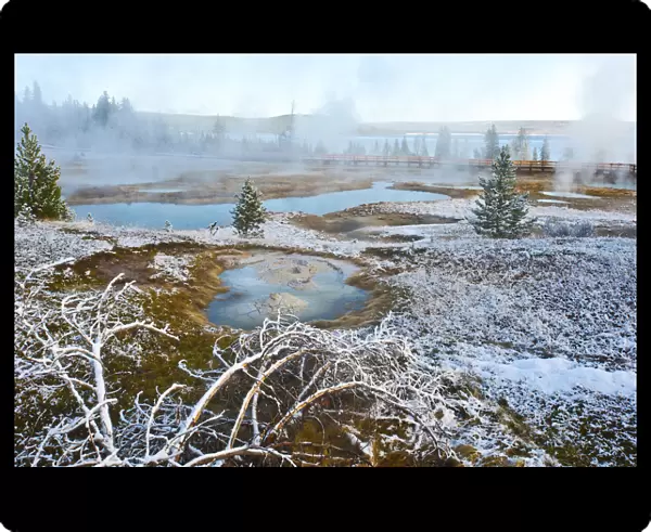 Snowy landscape with West Thumb Geyser Basin in winter, Yellowstone National Park, Wyoming, USA