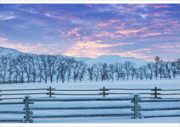 Wintertime sunrise at Hideout Ranch, Shell, Wyoming, USA