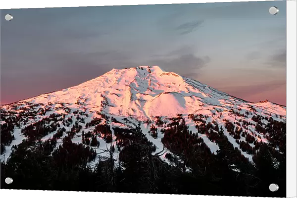 Mt Bachelor mountain peak at sunrise, Deschutes National Forest, Oregon, USA