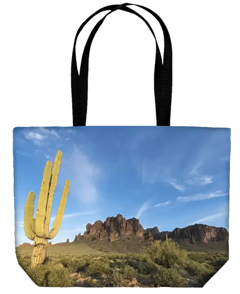 Saguaro (Carnegiea gigantea) in foreground of Lost Dutchman Mine State Park, Superstition Mountains, Arizona, USA