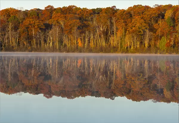 Autumn forest reflecting in Mill Pond Lake, Wisconsin, USA
