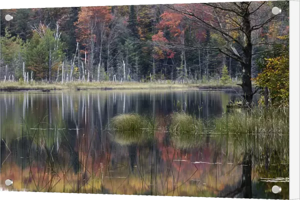 Autumn colors and mist reflecting on Council Lake at sunrise, Hiawatha National Forest, Michigan, USA