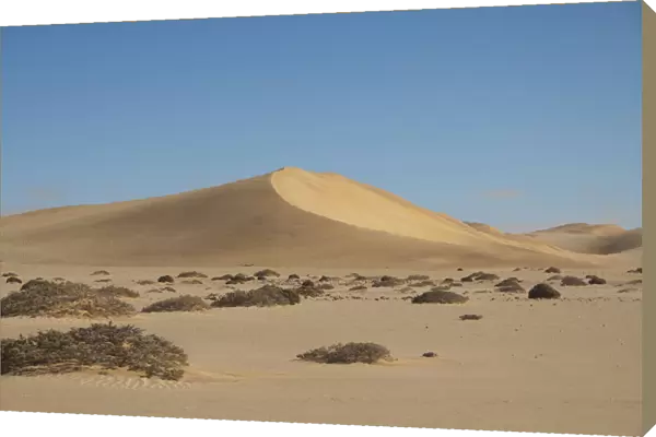 arid climate, bush, clear sky, color image, day, desert, dune 7, famous place, heat