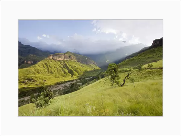 scenic mountain landscape, Royal Natal National Park, KwaZulu-Natal, South Africa