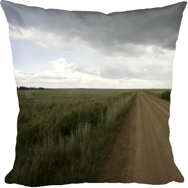 Cloud, Dirt Road, Field, Grass, Horizon Over Land, Landscape, Non-Urban Scene, North-West Province