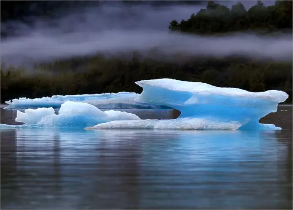 Icebergs having broken away from the Mendenhall glacier are floating toward the sea, Juneau, Alaska, United States of America