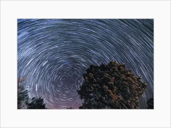 Windy Night with Star Trails, Magaliesburg, Gauteng Province, South Africa