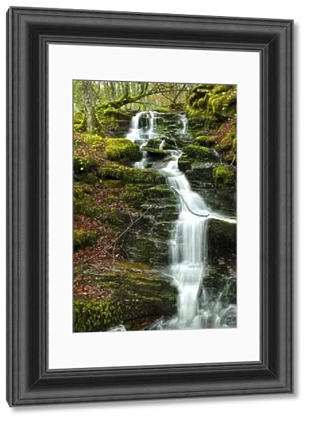 Beautiful Mossy Waterfall Landscape in a Forest in Scotland, United Kingdom