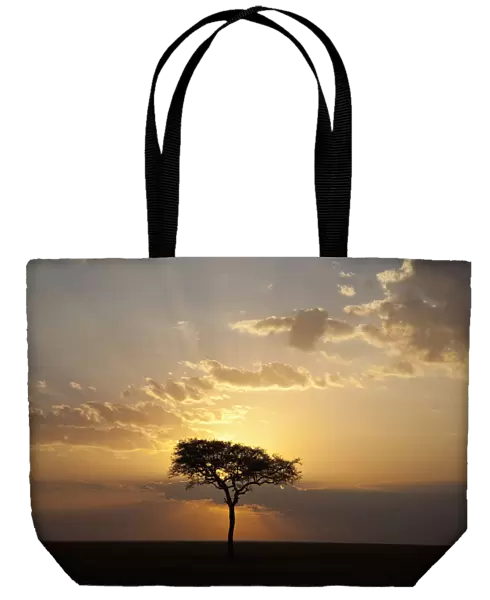 africa, backlit, beauty in nature, cloud, dusk, grass area, horizon, horizon over land