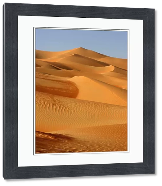 A Dune Field in the Desert