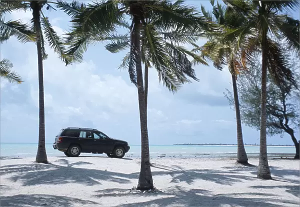 4x4 Vehicle Parked Under the Palm Trees on the Beach