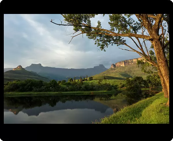 Royal Natal National Park with view of Amphitheatre, uKhahlamba Drakensberg Park, KwaZulu Natal, South Africa