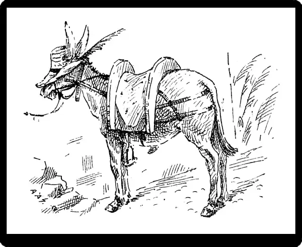 British London satire caricatures comics cartoon illustrations: Donkey with hat
