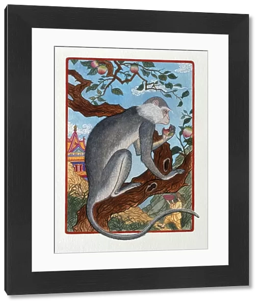 Illustration Monkey in the Fruit Tree, representing Chinese Year Of The Monke