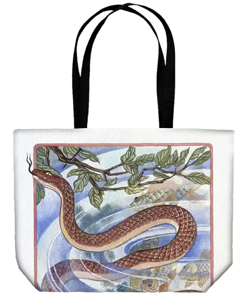 Illustration of Snake in the Fish Pond, representing Chinese Year Of The Snake