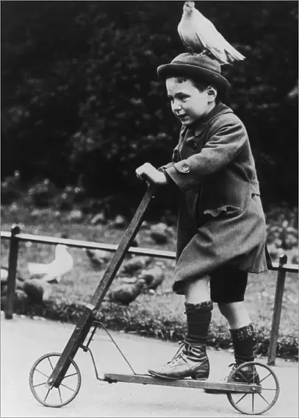Lazy Dove. A small boy on a scooter and with a dove perched on his hat, circa 1930