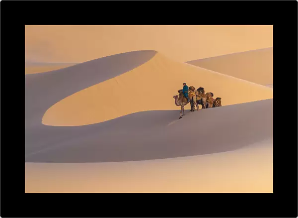 Nomad is riding camel across sand dune in Gobi desert